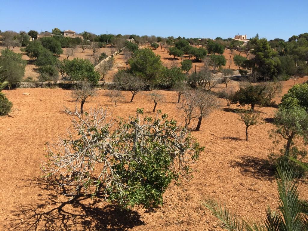 Villa Torrent Des Jai سنتاني المظهر الخارجي الصورة